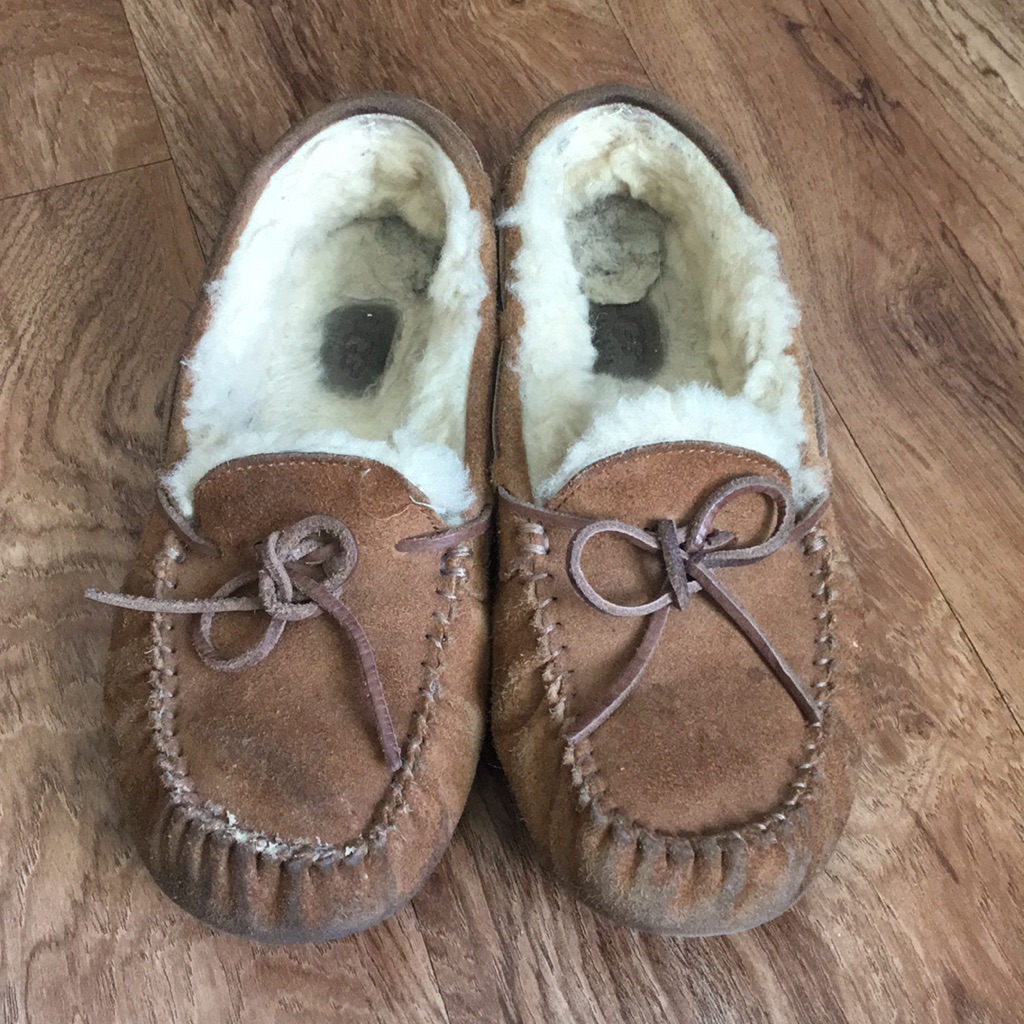 Womens Dakota Ugg Slippers
